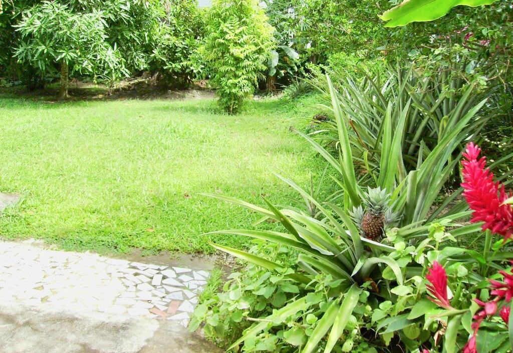Diamondview Apartment Soufriere Exterior photo